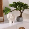 plmebli