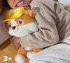 plmebli