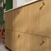 plmebli