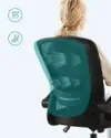 plmebli