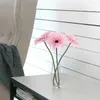 plmebli