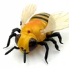 plmebli