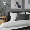 plmebli