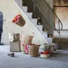 plmebli