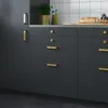 plmebli