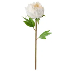 IKEA SMYCKA (804.097.83) искусственный цветок, Пион / белый