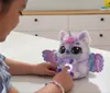 plmebli