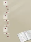 plmebli