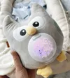 plmebli