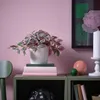 plmebli