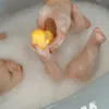 plmebli