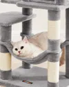 plmebli