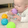 plmebli