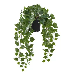 IKEA FEJKA(806.008.52) Искусственное горшечное растение, Внутри/снаружи висят/плющ