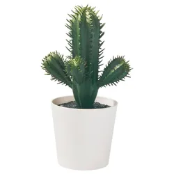 IKEA FEJKA(605.871.54) Искусственное горшечное растение, внутрь/снаружи кактус