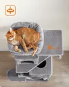 plmebli