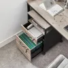 plmebli