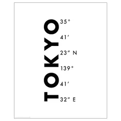 IKEA BILD (505.130.26) Плакат, Токійські координати