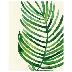 IKEA BILD (704.420.71) Плакат, Тропический пальмовый лист II
