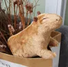 plmebli