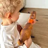 plmebli