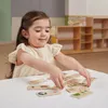 plmebli