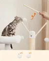 plmebli