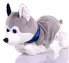 plmebli