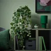plmebli