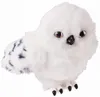 plmebli