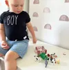 plmebli