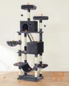 plmebli