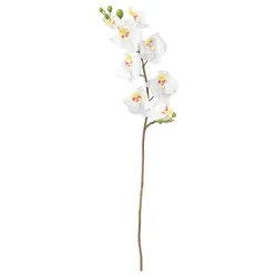 IKEA SMYCKA (803.335.85) штучна квітка, Орхідея / біла