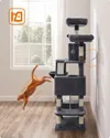 plmebli