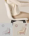 plmebli