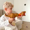 plmebli
