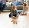 plmebli