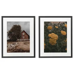 IKEA KNOPPÄNG(506.018.67) Рама с плакатом, Сельская жизнь