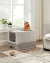 plmebli