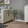 plmebli