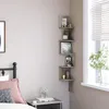 plmebli
