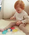 plmebli
