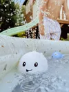 plmebli
