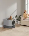 plmebli