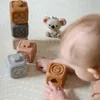 plmebli