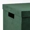 plmebli