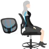 plmebli