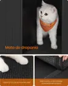 plmebli