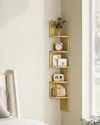 plmebli