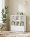 plmebli